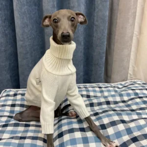 Biały sweter z golfem dla whippet i charcika włoskiego — elegancki Biały