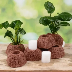 Ceramiczne pierścienie do mocowania roślin w akwarium Uniwersalny