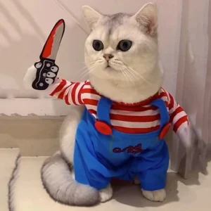 Ciepły kostium dla kota na Halloween - kombinezon 