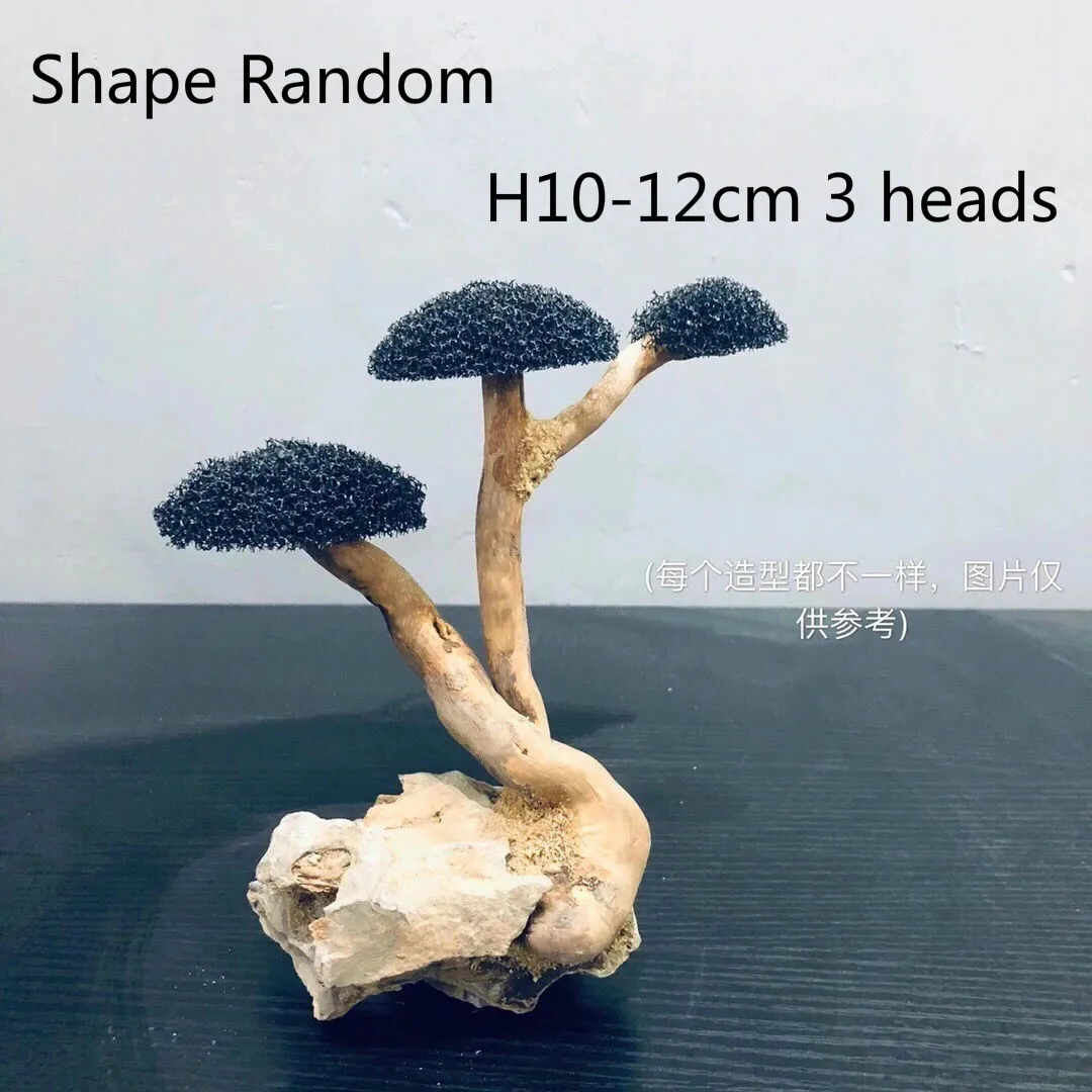 Dekoracja korzeń z mchem do akwarium DIY H10 3 heads