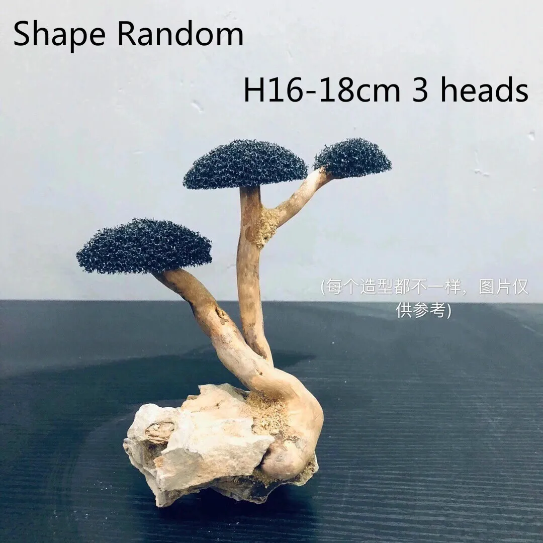 Dekoracja korzeń z mchem do akwarium DIY H16 3 heads