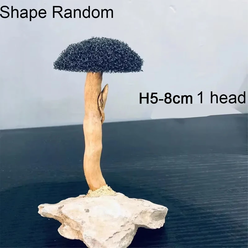 Dekoracja korzeń z mchem do akwarium DIY H5 1 head