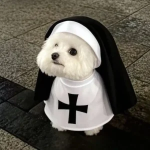 Halloweenowy kombinezon zakonnicy dla kota i małego psa Biały