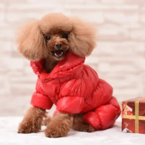 Zimowy kombinezon z ekoskóry dla psa i kota – ciepła bluza puppy coat Biały