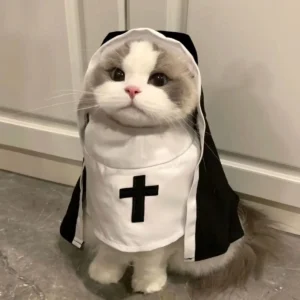 Kostium cosplay dla kota i psa na imprezę - zabawne przebranie Biały