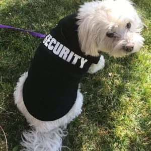 Koszulka Security dla psa — śmieszny letni T-shirt z napisem Czarny
