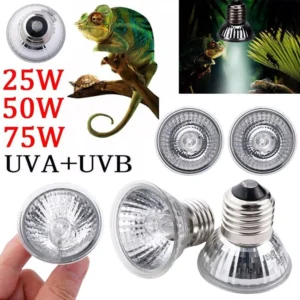 Lampa grzewcza UVA UVB do terrarium gadów 20-75W — pełne spektrum Jasnozielony