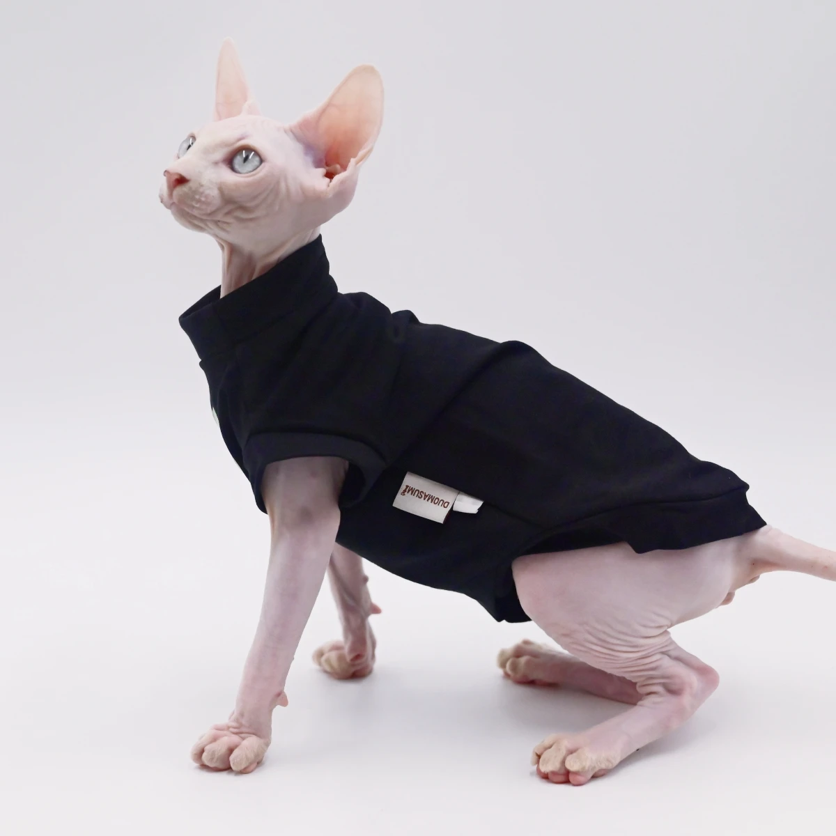 Letni koszulek chłodzący dla kota Sphynx Devon Rex Abyssinian Jasnozielony