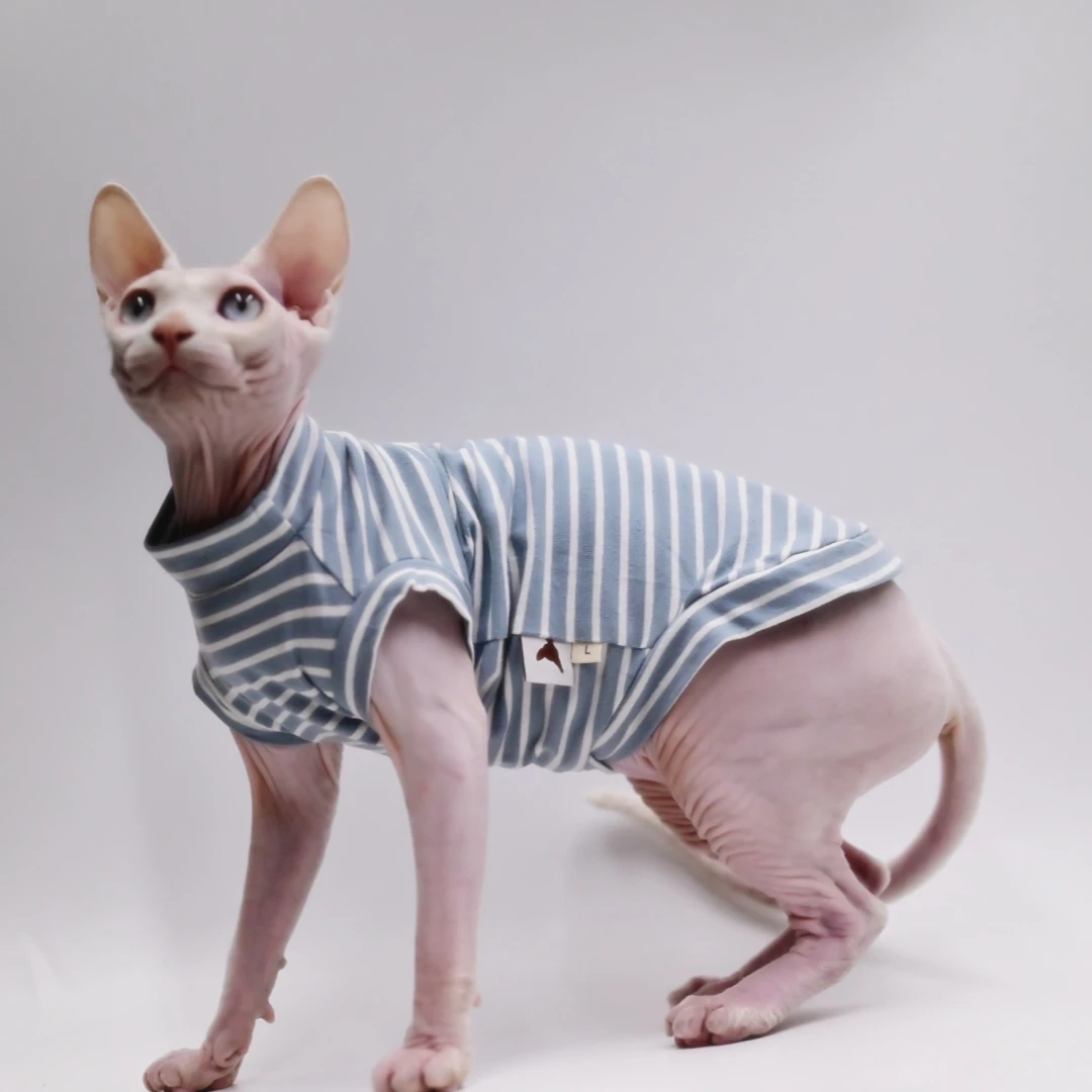 Letni koszulek chłodzący dla kota Sphynx Devon Rex Abyssinian Niebieski