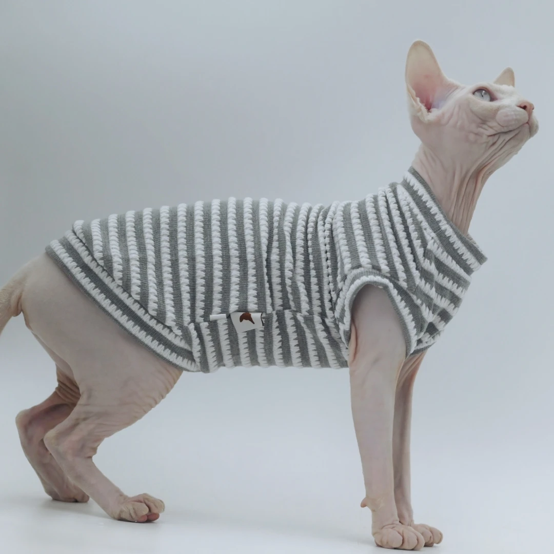 Letni koszulek chłodzący dla kota Sphynx Devon Rex Abyssinian Szary