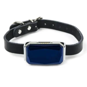 Mini lokalizator GPS GSM WiFi LBS dla psa, kota i owcy — IP67 Niebieski