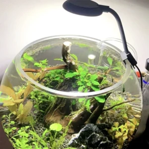 Mini lampa LED USB z klipsem do akwarium – oświetlenie dodatkowe Czarny