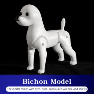 Model psa Bichon do nauki pielęgnacji i strzyżenia sierści Biały