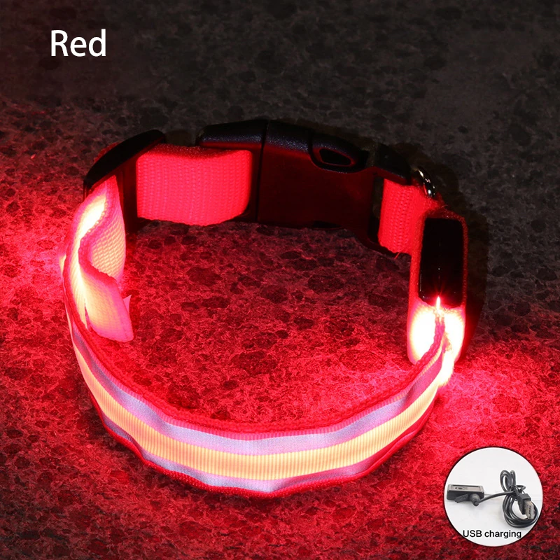 Obroża LED dla psa USB lub bateria guzikowa – migająca świecąca Burgundia