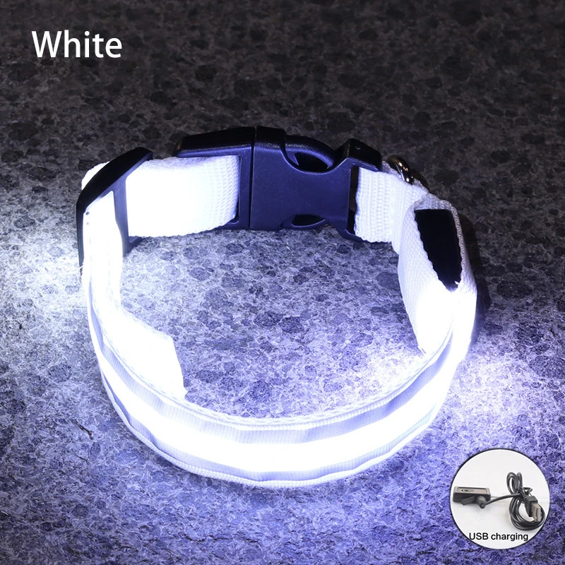 Obroża LED dla psa USB lub bateria guzikowa – migająca świecąca Fioletowy