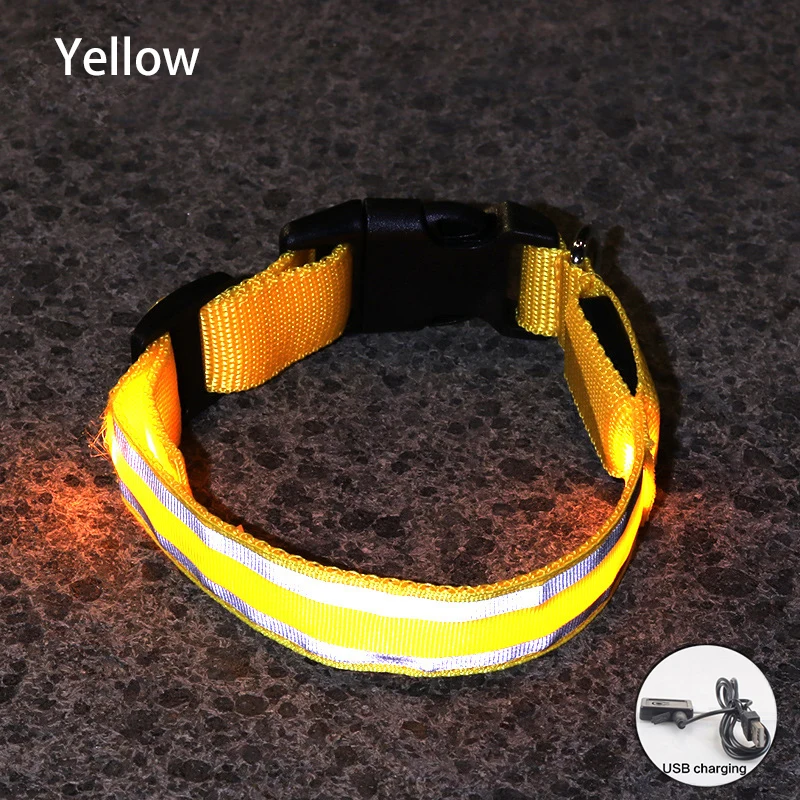 Obroża LED dla psa USB lub bateria guzikowa – migająca świecąca Jasnozielony