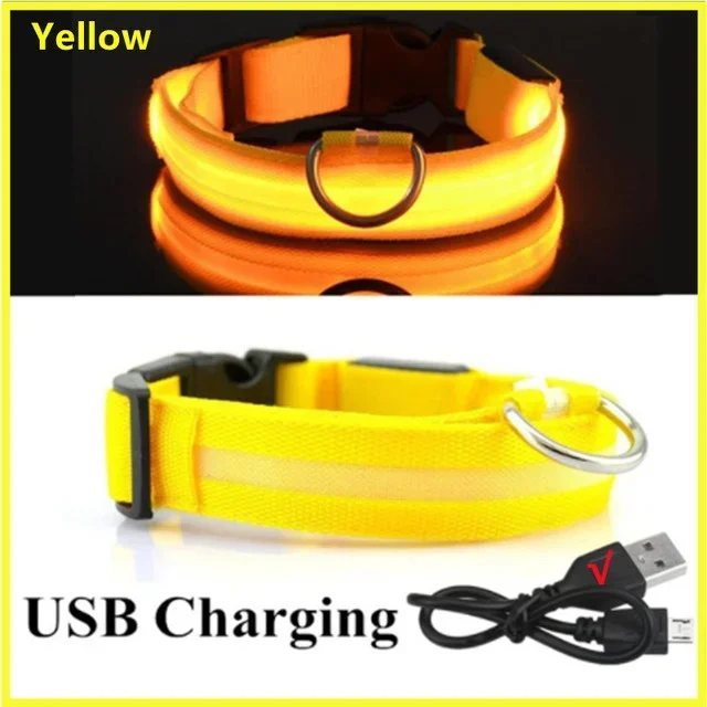 Obroża LED dla psa ładowana USB – świecąca w ciemności bezpieczeństwo Szary