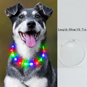 Silikonowa obroża LED USB dla psa i kota — 4 tryby świecenia Czarny