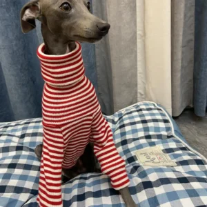 Sweter w czerwone paski z golfem dla greyhound i whippet Czerwony