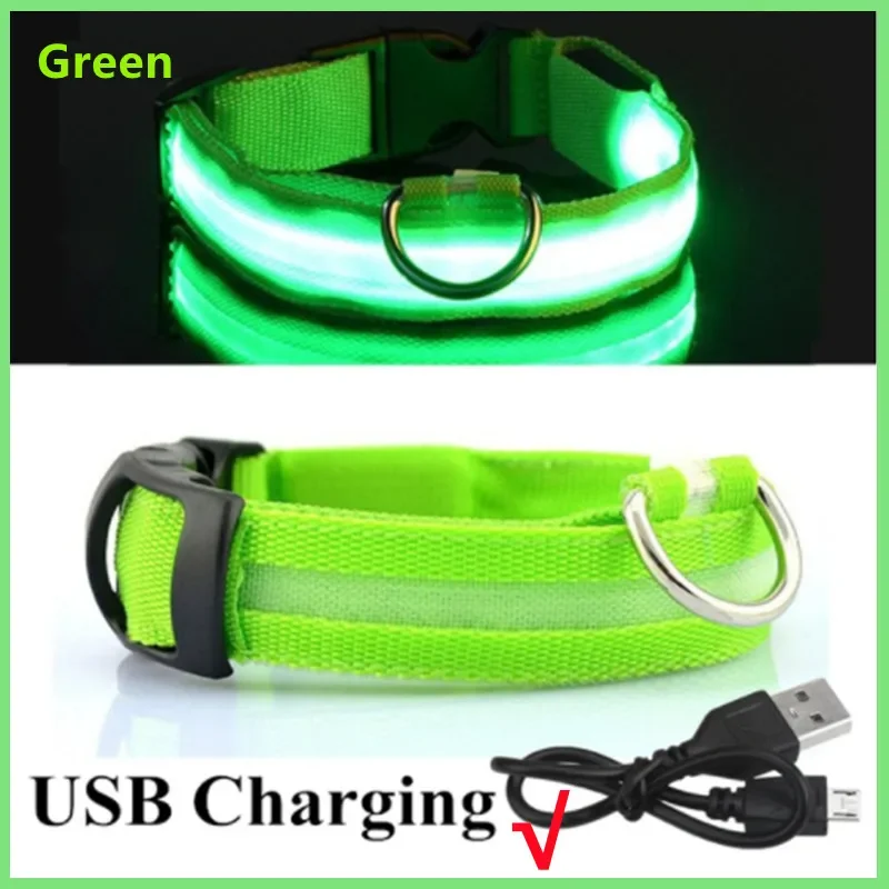 Świecąca obroża LED dla psa i kota ładowana USB Zielony