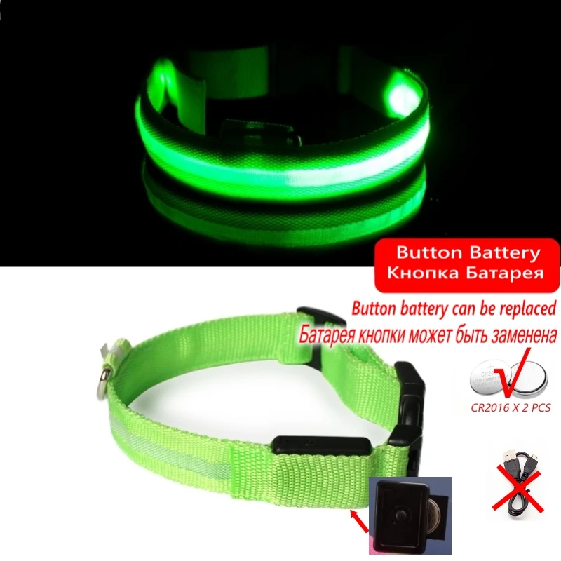 Świecąca obroża LED dla psa na nocne spacery Zielony