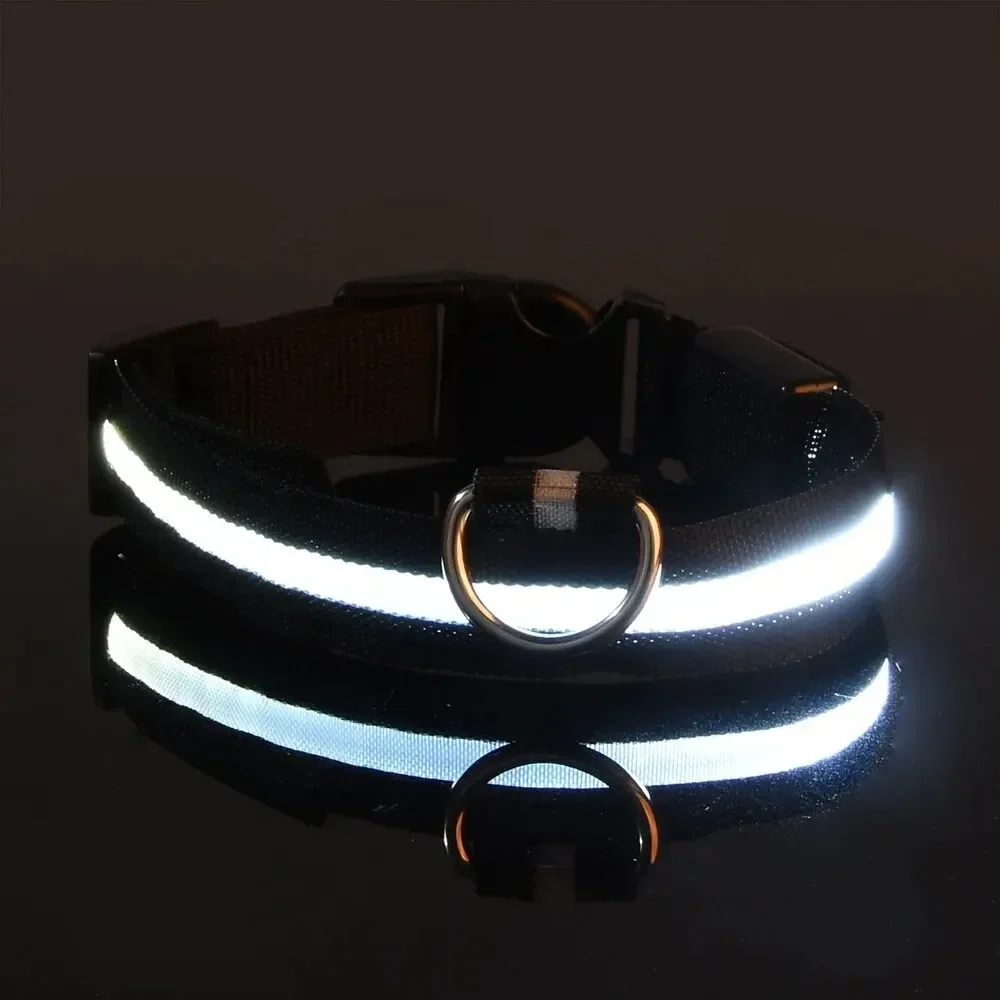 Świecąca obroża LED dla psa na wieczorne spacery Czarny