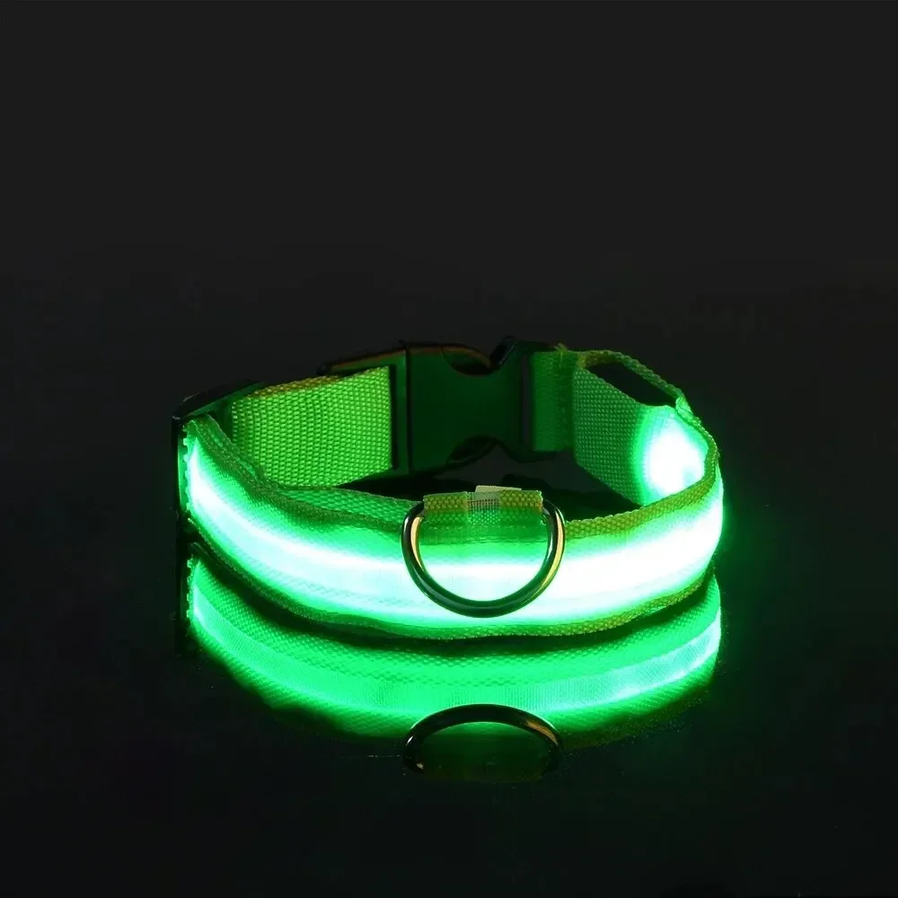Świecąca obroża LED dla psa na wieczorne spacery Zielony