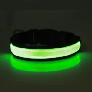 Świecąca obroża LED dla psa, ładowana USB Zielony
