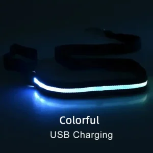Świecąca smycz LED dla psa USB Kolorowe ładowanie usb
