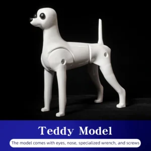 Treningowa głowa psa dla groomerów - model do nauki strzyżenia Teddy model