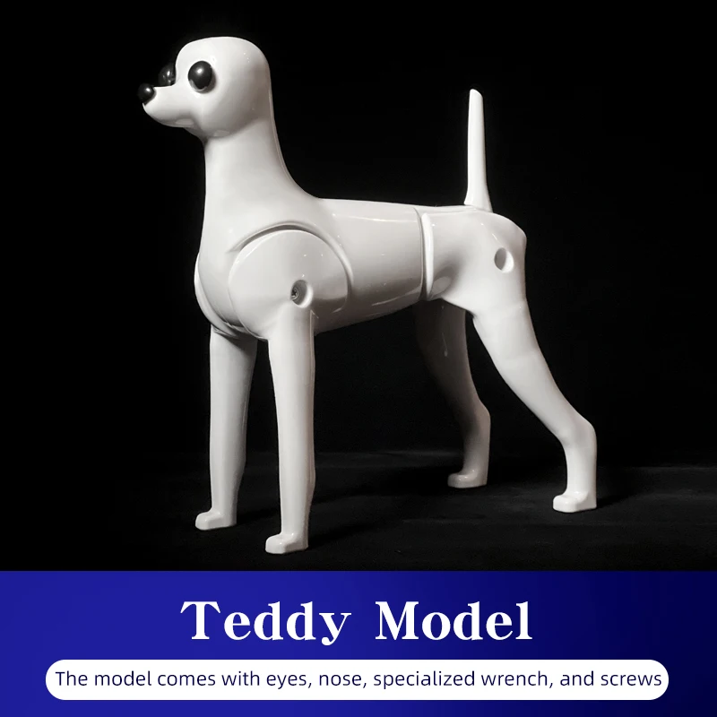 Treningowa głowa psa dla groomerów - model do nauki strzyżenia Teddy model