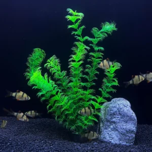 Wysokie sztuczne rośliny do akwarium 30 cm — symulowane rośliny wodne plastikowe Szary
