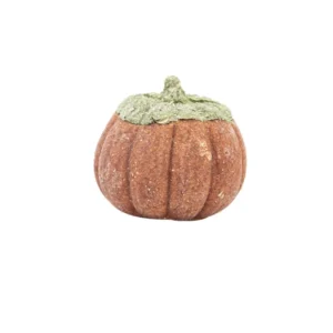 Zabawki dla chomika i gryzoni - drewniane gryzaki w ksztalcie warzyw i owocow 1 pumpkin