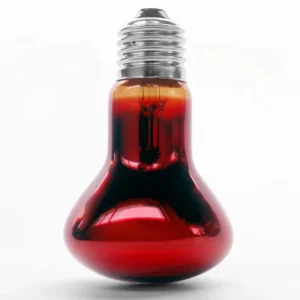 Żarówka punktowa na podczerwień do terrarium gadów 110V/220V Ciemny brąz
