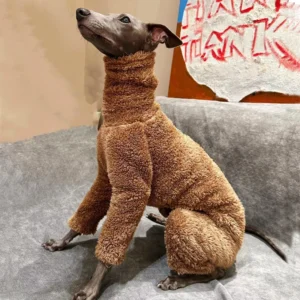 Zimowe onesie dla charta i greyhound miękkie ubranie z golfem Brązowy